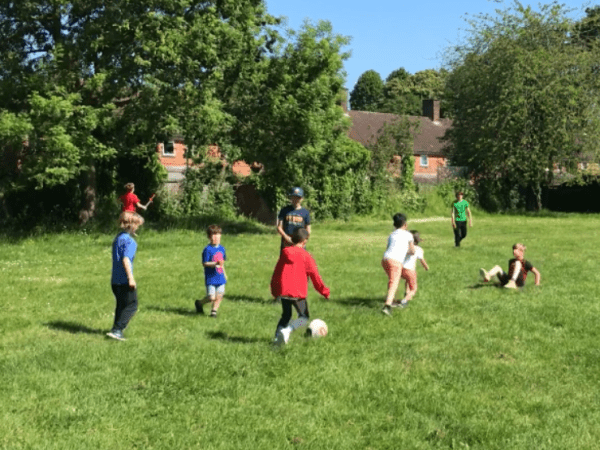 What the candidates think about Bertie&nbsp;Park