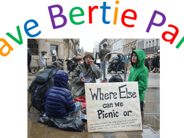 Problem with tall people using Bertie Park&nbsp;MUGA